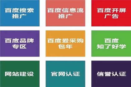 SEM推广策略如何制定——以某电商平台的成功案例为例